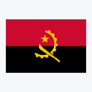 Flag of Angola, national flag design with unique colors and emblem