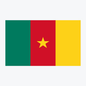 Flag of Cameroon, national flag design with unique colors and emblem