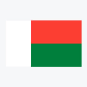 Flag of Madagascar, national flag design with unique colors and emblem