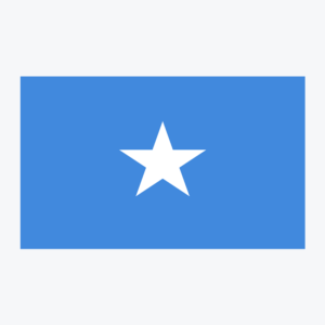 Flag of Somalia, national flag design with unique colors and emblem