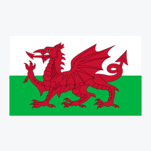 Flag of Wales, a red dragon on a green and white background