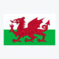 Flag of Wales, a red dragon on a green and white background